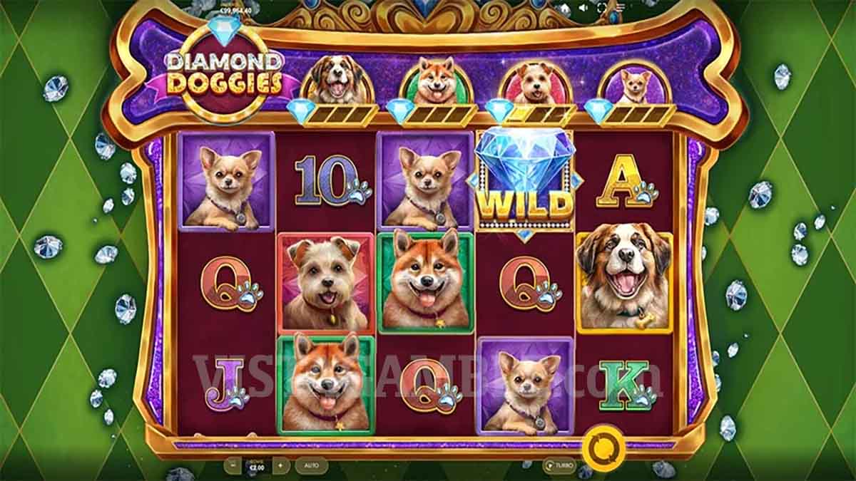 Diamond Doggies slot game by Red Tiger, Base Game view