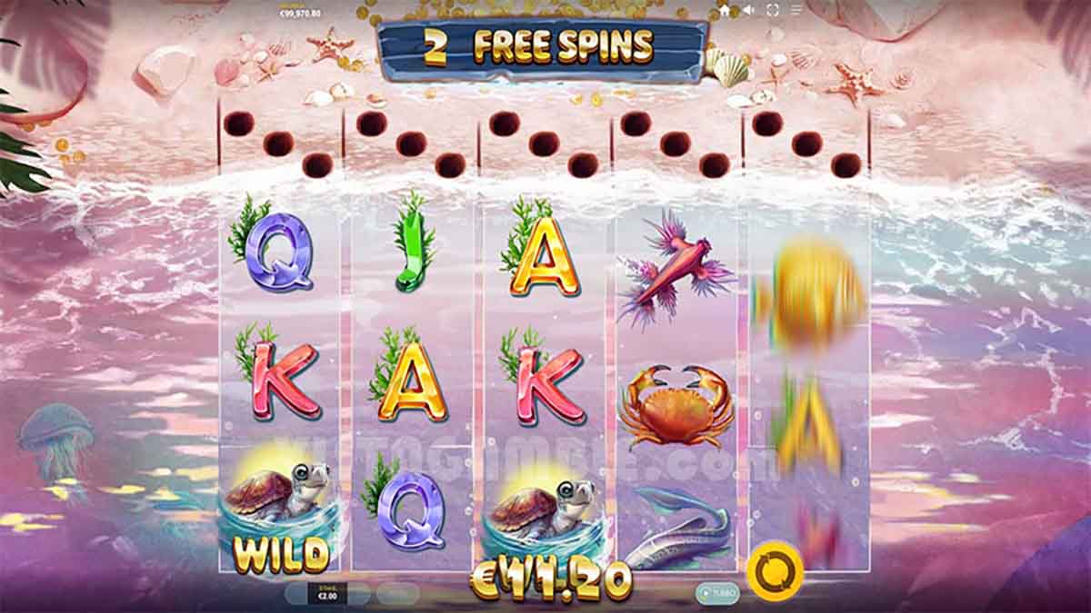 Turtle Paradise slot game by Red Tiger Gaming, 2 free spins