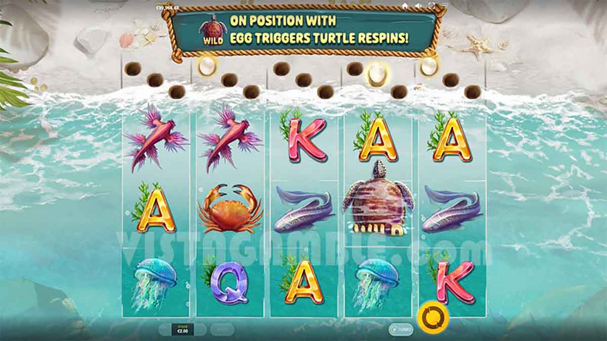 Turtle Paradise slot game by Red Tiger Gaming, base game