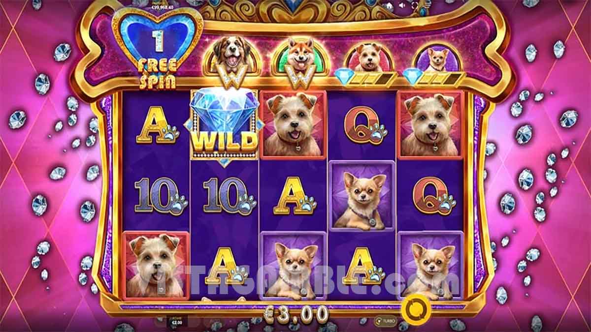 Diamond Doggies slot game by Red Tiger, showing Win of 3.00