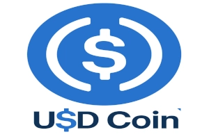 USD Coin logo