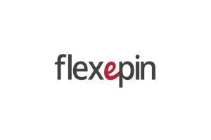 Flexepin logo