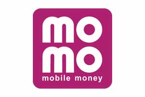 Mobile Money logo