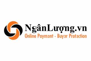 Nganluong logo