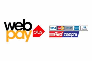 Web pay plus logo