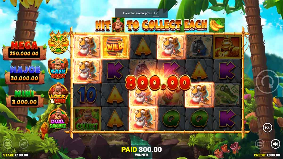 King Kong Cash Even Bigger Bananas slot game by Blueprint Gaming, showing Win of 800.00