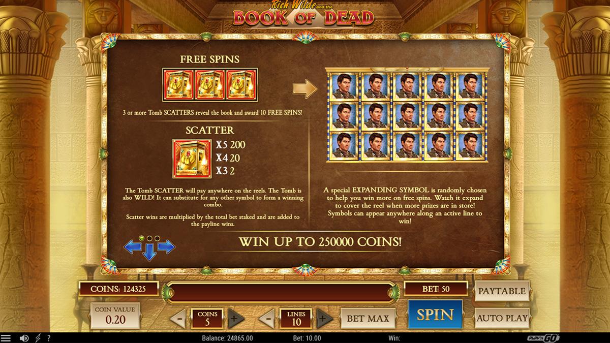 Book of Dead slot game by Netent, free spins instruction