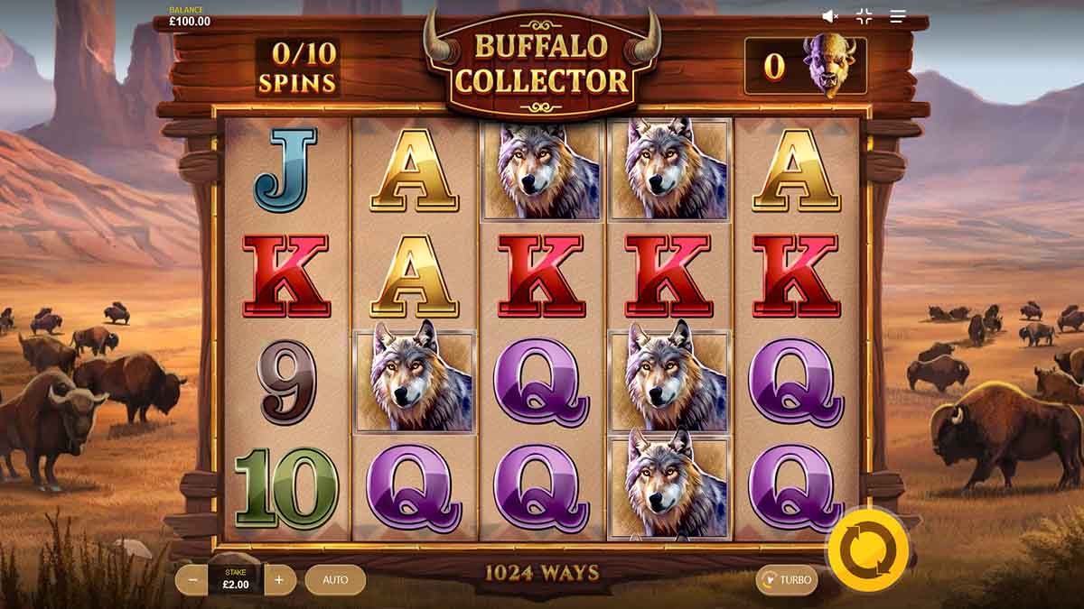 Buffalo Collector slot game by Red Tiger Gaming, base game view