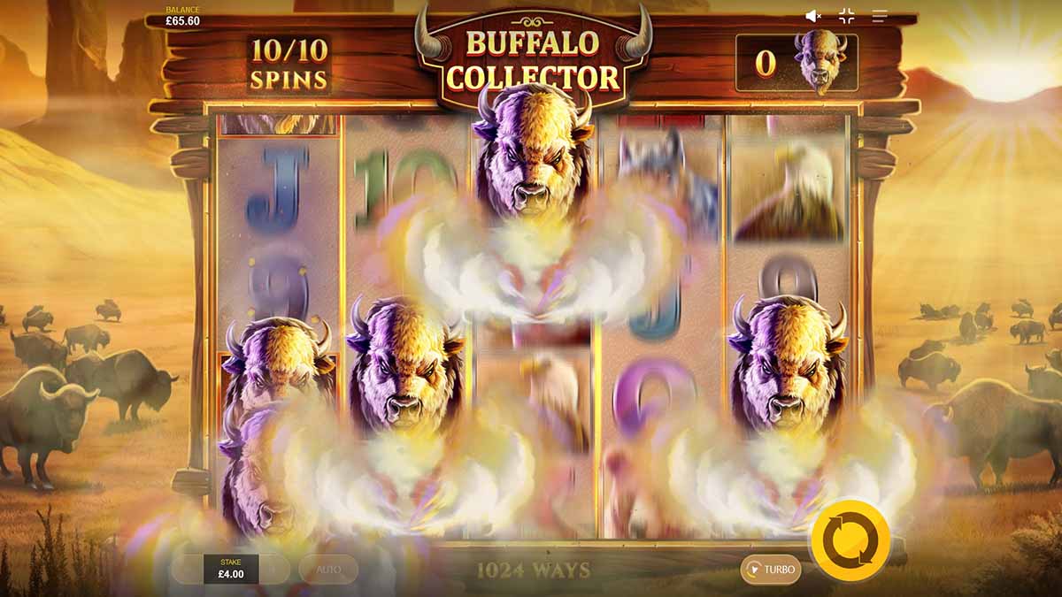 Buffalo Collector slot game by Red Tiger Gaming, bulls run