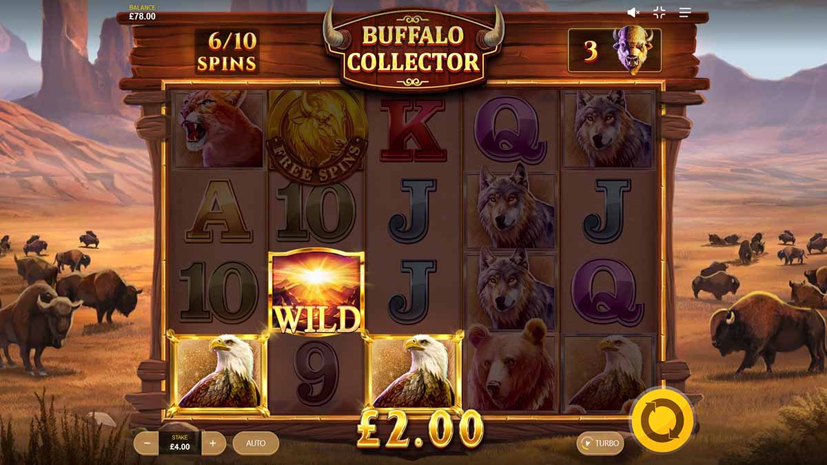 Buffalo Collector slot game by Red Tiger Gaming, Wild win